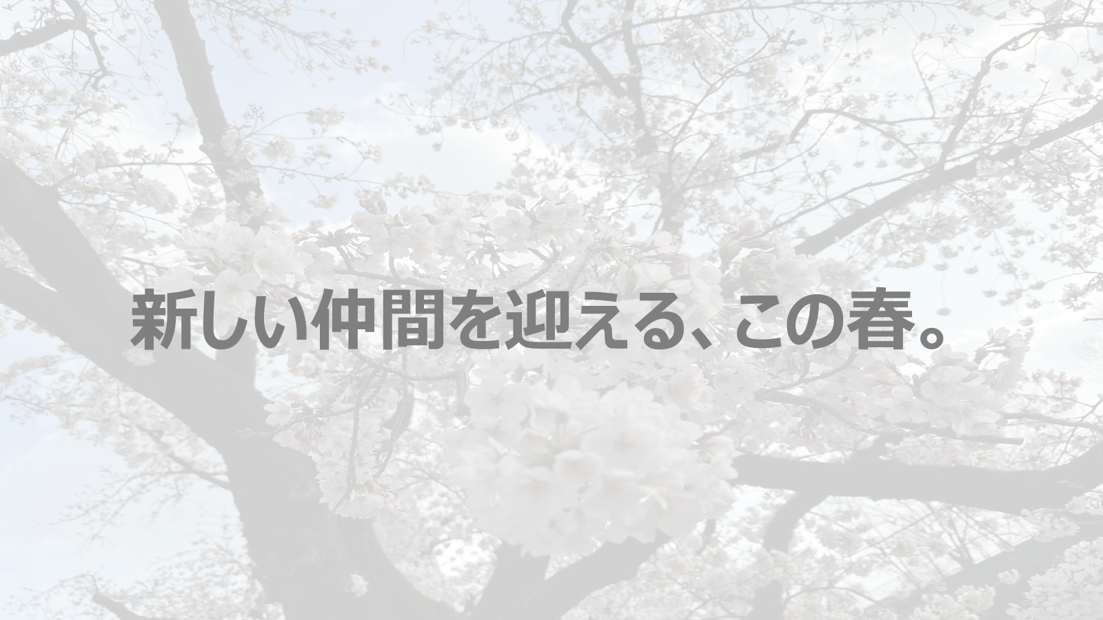 4/1入社式に向けて。新しい仲間を迎える準備をしています