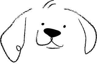 profile decor