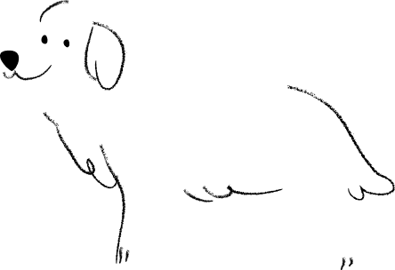 profile decor