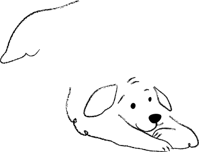 profile decor