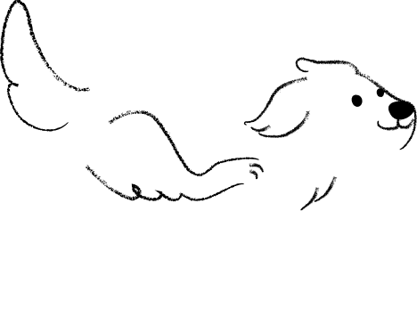 profile decor