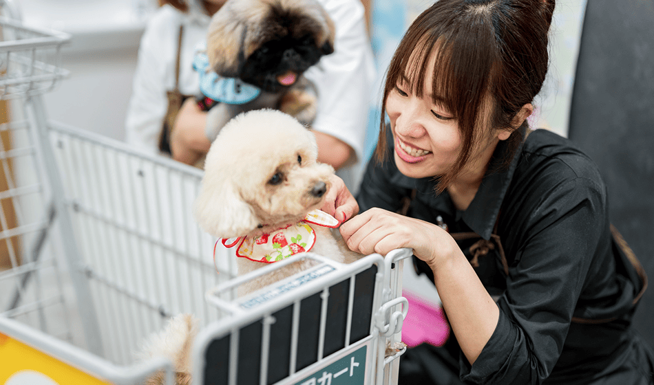 技術向上に奮い立つ気持ちを、まっすぐに実践できる