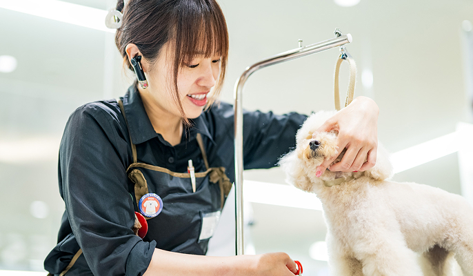 中途採用募集要項
